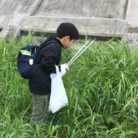 広瀬川お掃除