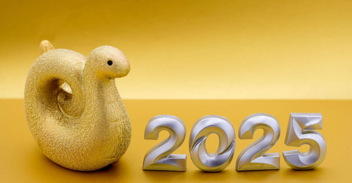 2025年